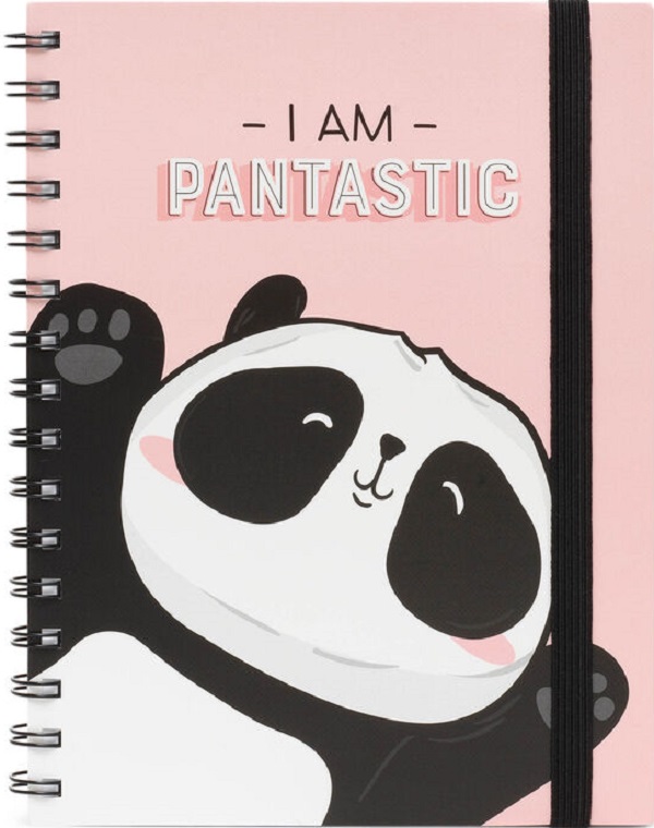 Agenda: Panda