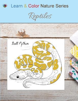 Reptiles - Learn & Color Books