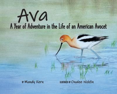 Ava: A Year of Adventure in the Life of an American Avocet - Mandy Kern