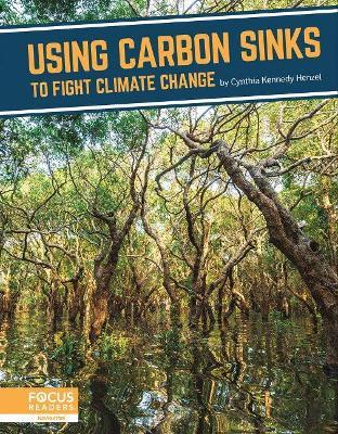Using Carbon Sinks to Fight Climate Change - Cynthia Kennedy