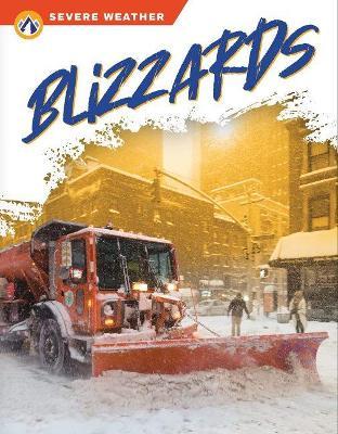 Blizzards - Sharon Dalgleish