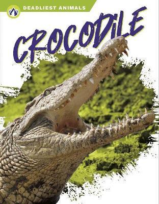 Crocodile - Golriz Golkar