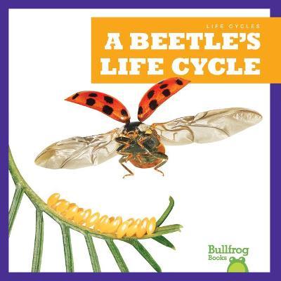 A Beetle's Life Cycle - Jamie Rice