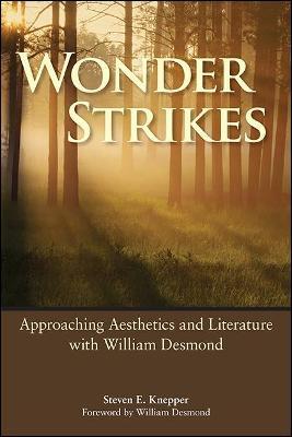 Wonder Strikes: Approaching Aesthetics and Literature with William Desmond - Steven E. Knepper