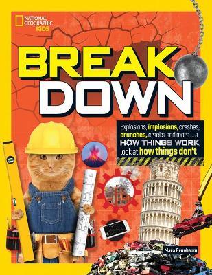 Break Down!: Explosions, Implosions, Crashes, Crunches, Cracks, and More ... a How Things Work Look at How Things Break - Mara Grunbaum