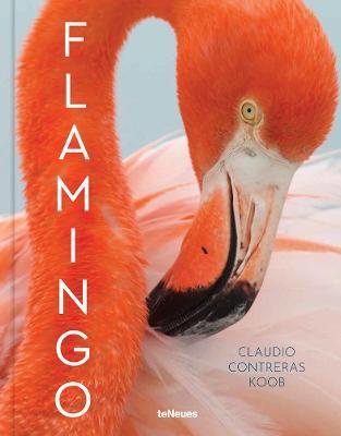 Flamingo - Claudio Contreras Koob