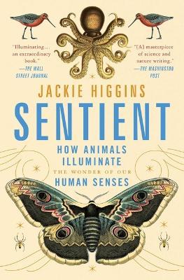 Sentient: How Animals Illuminate the Wonder of Our Human Senses - Jackie Higgins