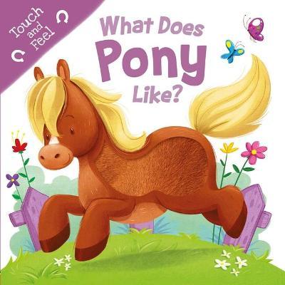 What Does Pony Like?: Touch & Feel Board Book - Igloobooks