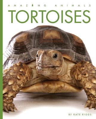 Tortoises - Kate Riggs