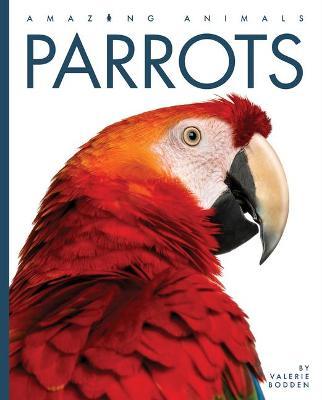 Parrots - Valerie Bodden