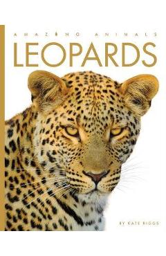 Coperta cărții 'Leopards - Kate Riggs'