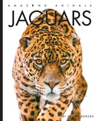 Jaguars - Valerie Bodden