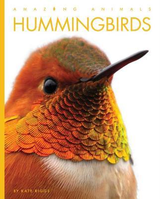 Hummingbirds - Kate Riggs