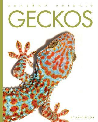 Geckos - Kate Riggs