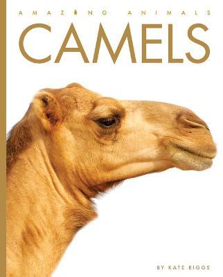 Camels - Kate Riggs