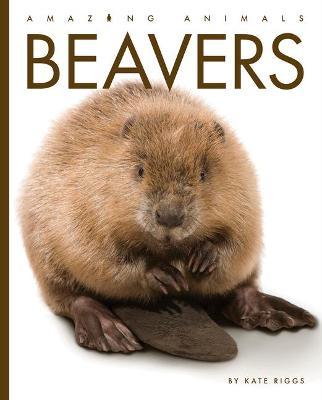 Beavers - Kate Riggs