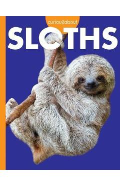 Coperta cărții 'Curious about Sloths - Amy S. Hansen'