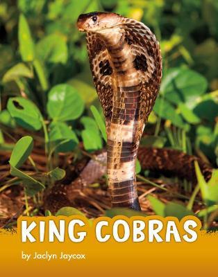 King Cobras - Jaclyn Jaycox