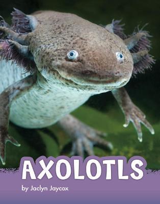 Axolotls - Jaclyn Jaycox