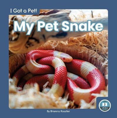 My Pet Snake - Brienna Rossiter