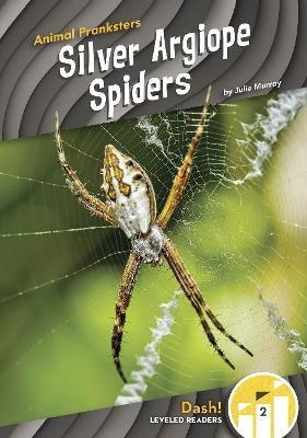 Silver Argiope Spiders - Julie Murray