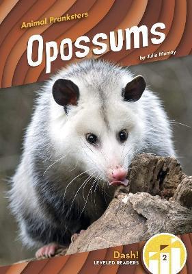 Opossums - Julie Murray