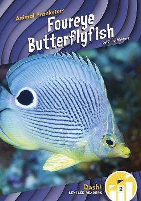 Foureye Butterflyfish - Julie Murray