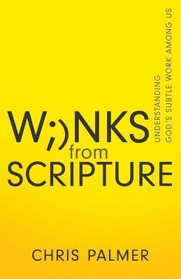 Winks from Scripture: Understanding God's Subtle Work Among Us - Chris Palmer