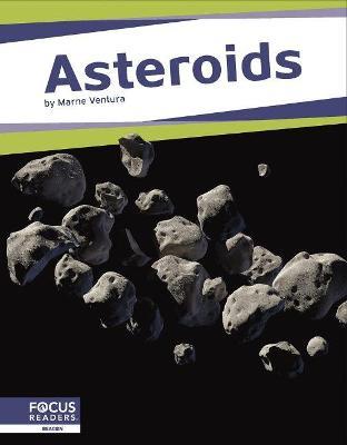 Asteroids - Marne Ventura