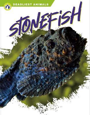 Stonefish - Golriz Golkar