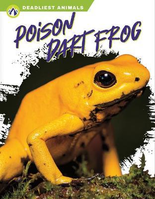 Poison Dart Frog - Golriz Golkar