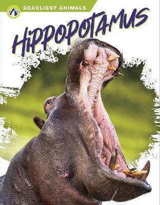 Hippopotamus - Golriz Golkar