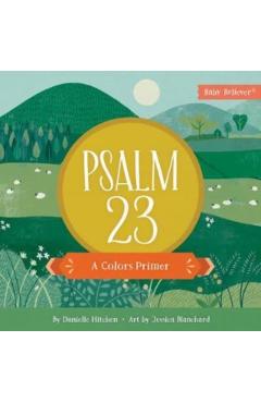 Psalm 23: A Colors Primer - Danielle Hitchen