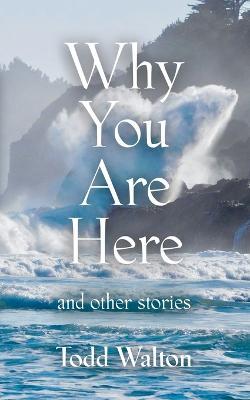 Why You Are Here: and other stories - Todd Walton