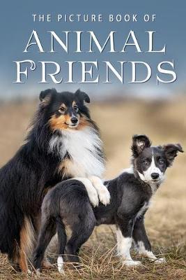 The Picture Book of Animal Friends: A Gift Book for Alzheimer's Patients and Seniors with Dementia - Sunny Street Books