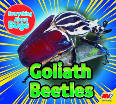 Goliath Beetles - Aaron Carr