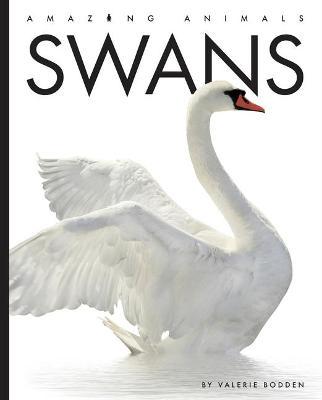 Swans - Valerie Bodden