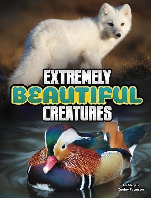 Extremely Beautiful Creatures - Megan Cooley Peterson