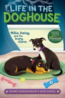 Millie, Daisy, and the Scary Storm - Danny Robertshaw