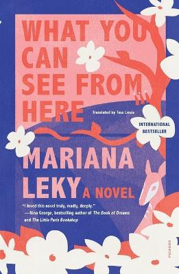 What You Can See from Here - Mariana Leky