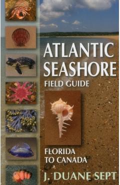 Atlantic Seashore Field Guide: Florida to Canada - J. Duane Sept