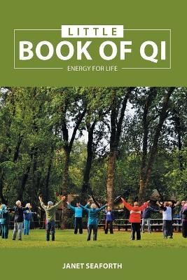 Little Book of Qi: Energy for Life - Janet Seaforth