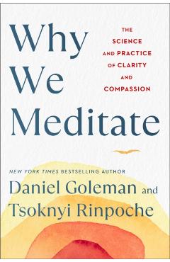 Why We Meditate: The Science and Practice of Clarity and Compassion - Daniel Goleman