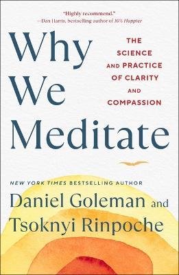 Why We Meditate: The Science and Practice of Clarity and Compassion - Daniel Goleman