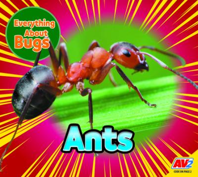 Ants - Aaron Carr