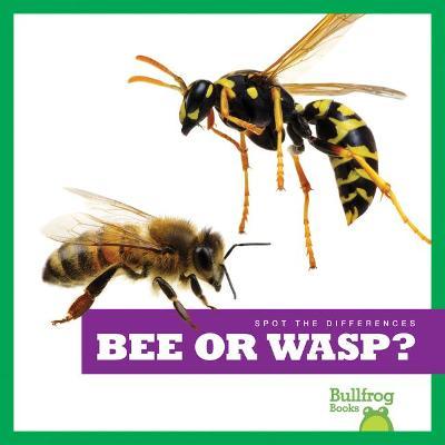 Bee or Wasp? - Adeline J. Zimmerman