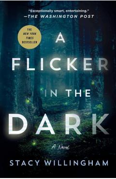 A Flicker in the Dark - Stacy Willingham