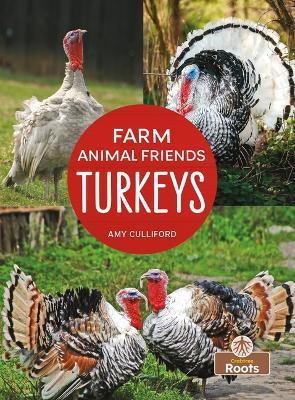 Turkeys - Amy Culliford