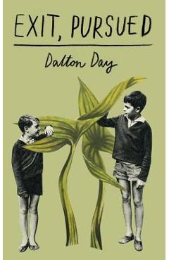 Coperta cărții 'Exit, Pursued - Dalton Day'