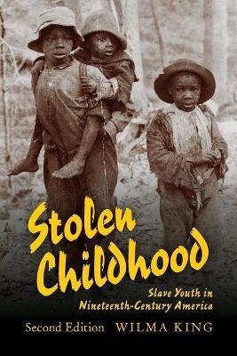 Stolen Childhood: Slave Youth in Nineteenth-Century America - Wilma King